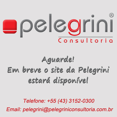Pelegrini Consultoria